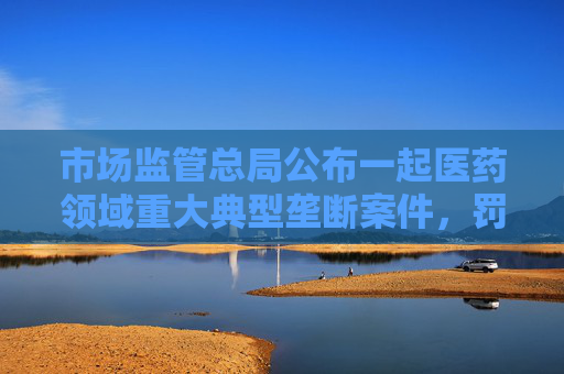 市场监管总局公布一起医药领域重大典型垄断案件，罚没3.62亿元