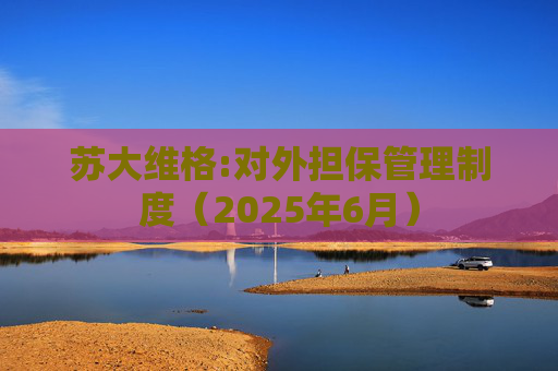 苏大维格:对外担保管理制度（2025年6月）
