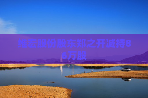维宏股份股东郑之开减持86万股