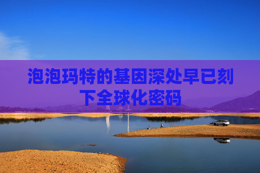 泡泡玛特的基因深处早已刻下全球化密码