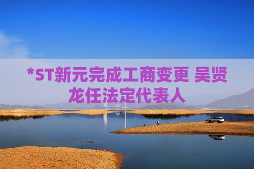 *ST新元完成工商变更 吴贤龙任法定代表人