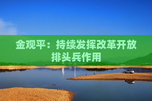 金观平：持续发挥改革开放排头兵作用