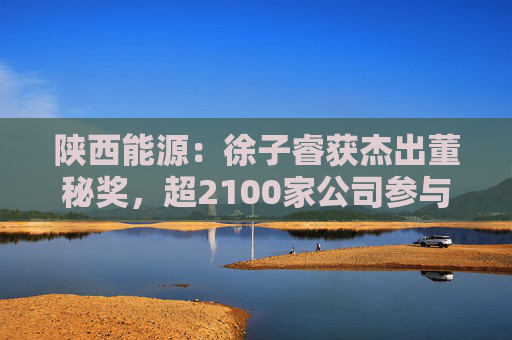 陕西能源：徐子睿获杰出董秘奖，超2100家公司参与评选