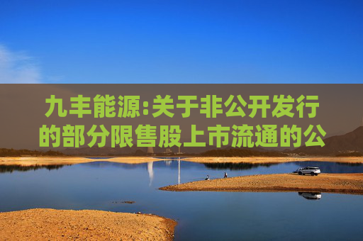 九丰能源:关于非公开发行的部分限售股上市流通的公告