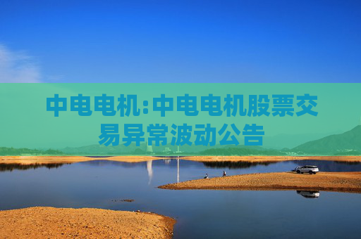 中电电机:中电电机股票交易异常波动公告