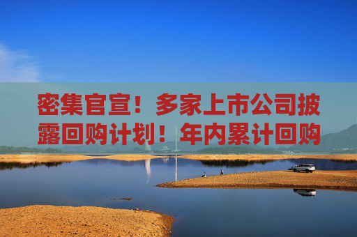 密集官宣！多家上市公司披露回购计划！年内累计回购超700亿元