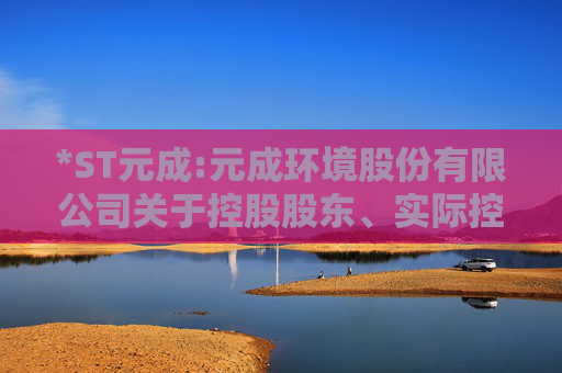 *ST元成:元成环境股份有限公司关于控股股东、实际控制人所持公司部分股份被司法拍卖的进展公告