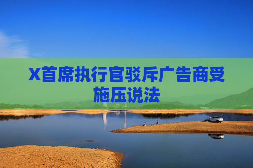 X首席执行官驳斥广告商受施压说法