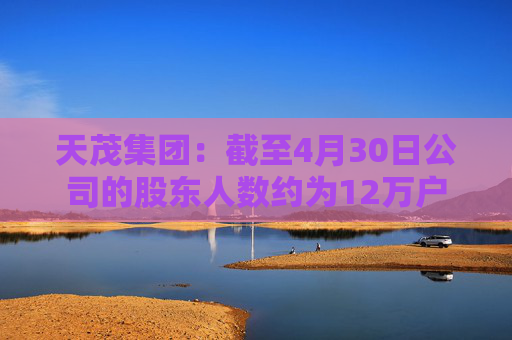天茂集团：截至4月30日公司的股东人数约为12万户