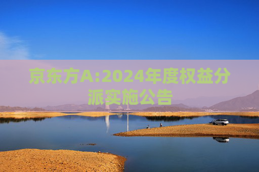 京东方A:2024年度权益分派实施公告