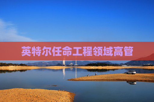 英特尔任命工程领域高管