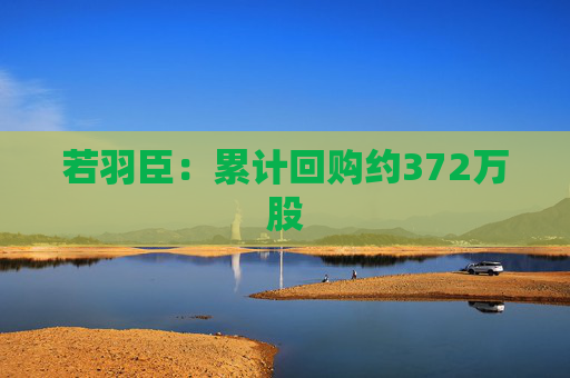 若羽臣：累计回购约372万股