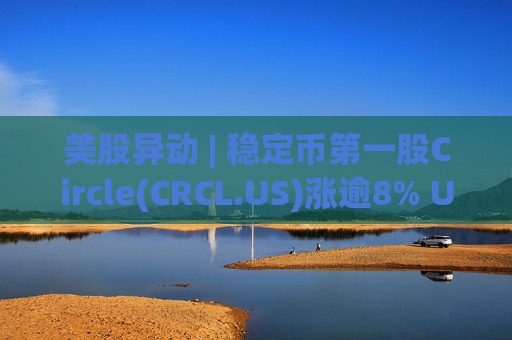 美股异动 | 稳定币第一股Circle(CRCL.US)涨逾8% USDC占据约27%市场份额  第1张