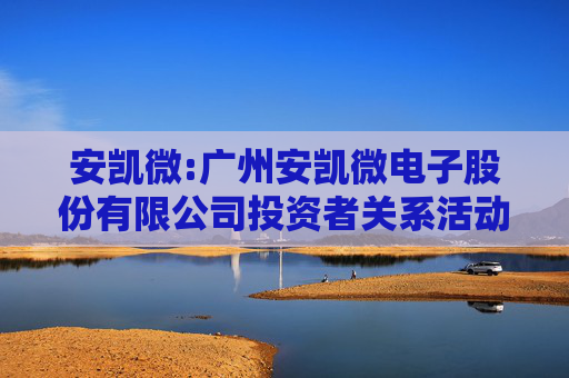 安凯微:广州安凯微电子股份有限公司投资者关系活动记录表（2025年5月29日）