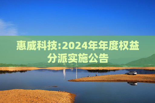 惠威科技:2024年年度权益分派实施公告