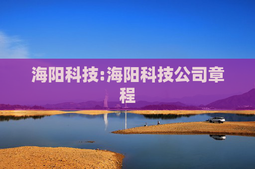 海阳科技:海阳科技公司章程
