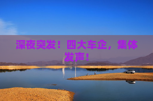 深夜突发！四大车企，集体发声！