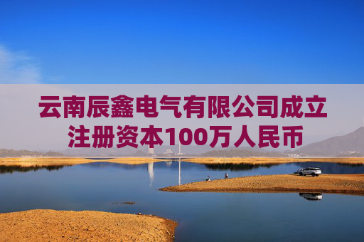 云南辰鑫电气有限公司成立 注册资本100万人民币