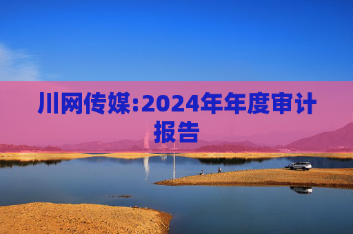 川网传媒:2024年年度审计报告  第1张