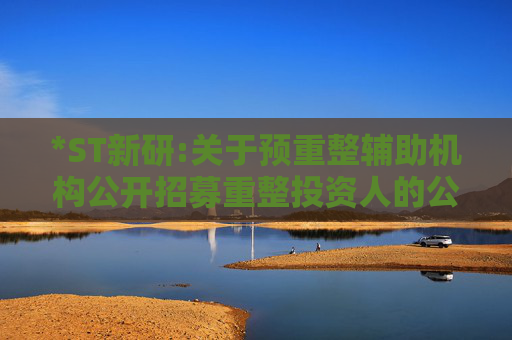*ST新研:关于预重整辅助机构公开招募重整投资人的公告