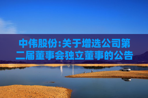 中伟股份:关于增选公司第二届董事会独立董事的公告