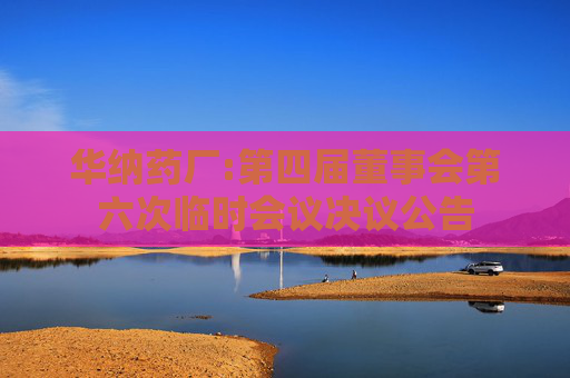 华纳药厂:第四届董事会第六次临时会议决议公告