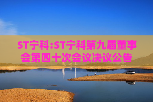 ST宁科:ST宁科第九届董事会第四十次会议决议公告