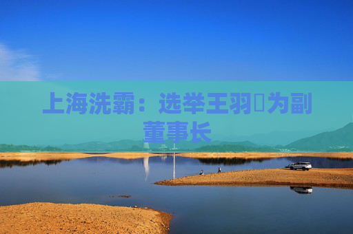 上海洗霸：选举王羽旸为副董事长