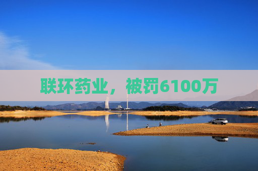 联环药业，被罚6100万