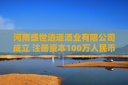 河南盛世逍遥酒业有限公司成立 注册资本100万人民币  第1张