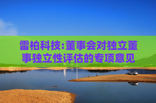 雷柏科技:董事会对独立董事独立性评估的专项意见  第1张