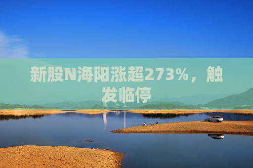 新股N海阳涨超273%，触发临停