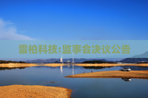 雷柏科技:监事会决议公告  第1张