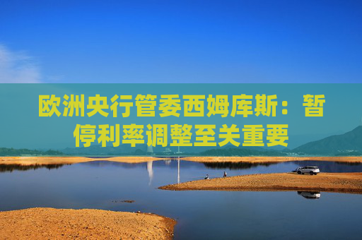欧洲央行管委西姆库斯：暂停利率调整至关重要