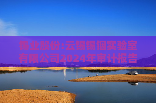 锡业股份:云锡锡铟实验室有限公司2024年审计报告