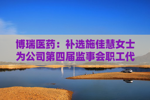 博瑞医药：补选施佳慧女士为公司第四届监事会职工代表监事