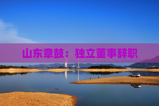 山东章鼓：独立董事辞职