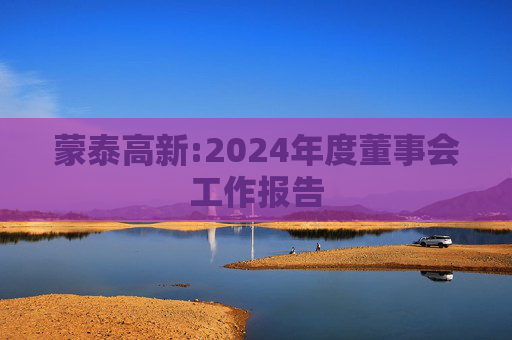 蒙泰高新:2024年度董事会工作报告  第1张