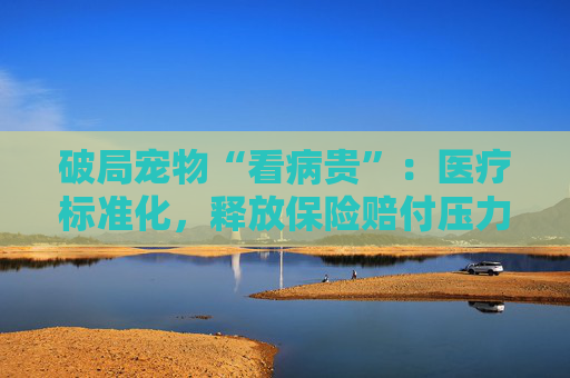 破局宠物“看病贵”：医疗标准化，释放保险赔付压力