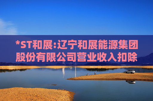 *ST和展:辽宁和展能源集团股份有限公司营业收入扣除情况表专项核查报告  第1张
