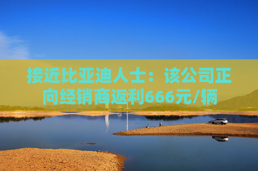 接近比亚迪人士：该公司正向经销商返利666元/辆