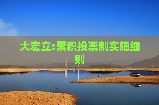 大宏立:累积投票制实施细则