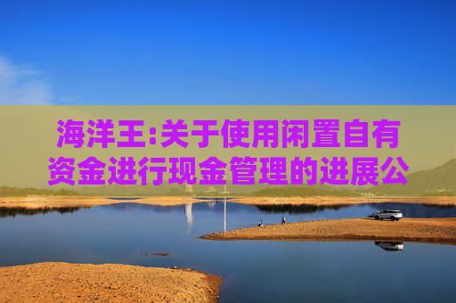 海洋王:关于使用闲置自有资金进行现金管理的进展公告