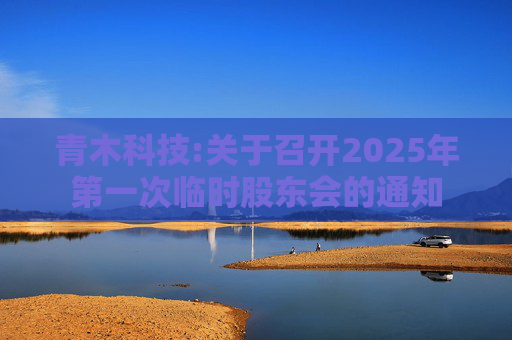 青木科技:关于召开2025年第一次临时股东会的通知