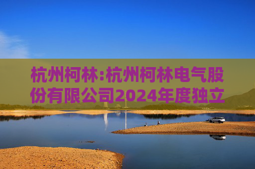 杭州柯林:杭州柯林电气股份有限公司2024年度独立董事述职报告（毛卫民）