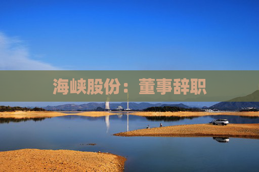 海峡股份：董事辞职