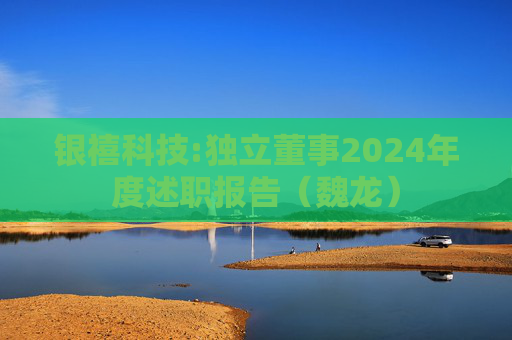 银禧科技:独立董事2024年度述职报告（魏龙）