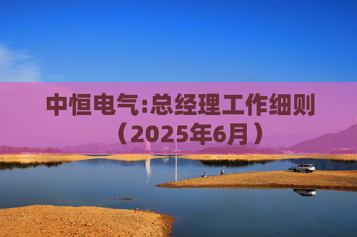 中恒电气:总经理工作细则（2025年6月）