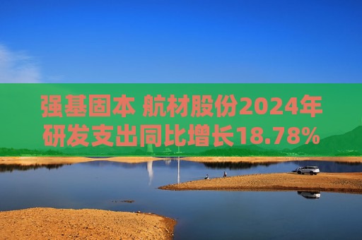 强基固本 航材股份2024年研发支出同比增长18.78%