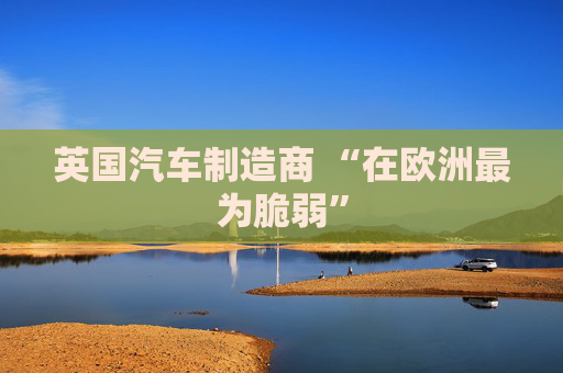 英国汽车制造商 “在欧洲最为脆弱”
